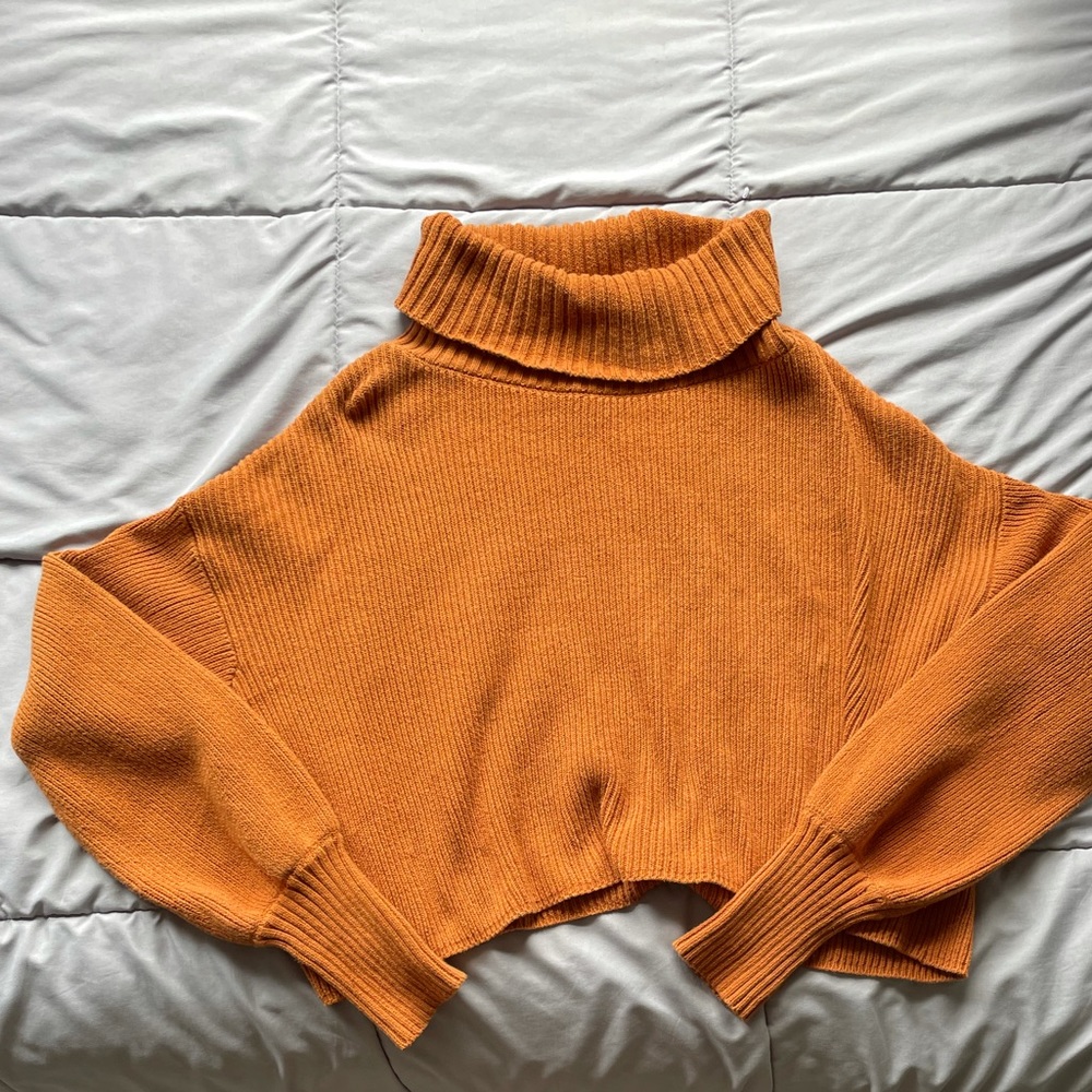 Wild Fable Cropped Turtleneck Sweater